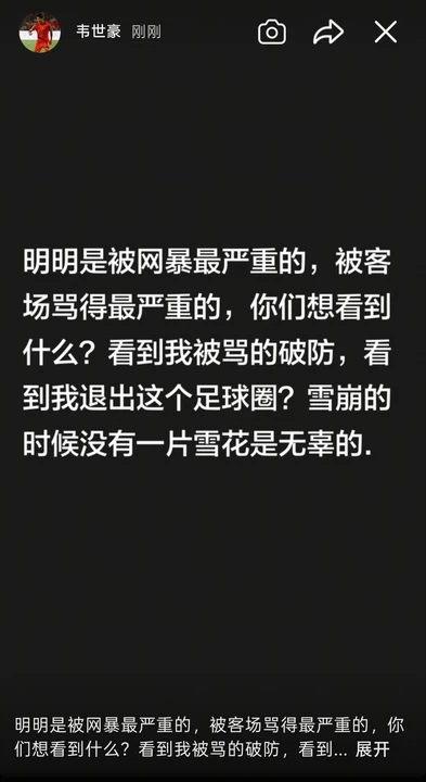 韦世豪：你们想看什么？看到我破防？雪崩时没有一片雪花是无辜的
